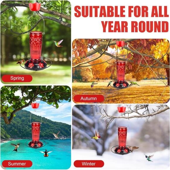 Hummingbird Feeder-16 Ounces，6 Feeding Ports Glass Hummingbird feeders - Picture 7 of 8